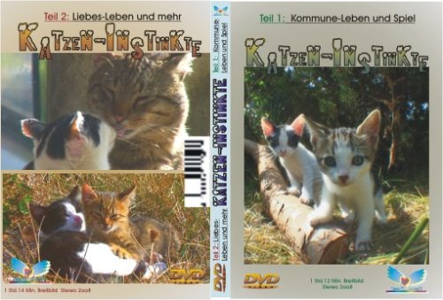 Blu-ray Disc 