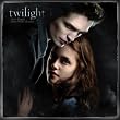 TWILIGHT 2010 Wall Calendar