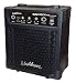 Washburn Bad Dog 8 Watt Amp