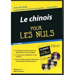 Kit Audio Chinois pour les Nuls