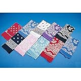 Western Bandana Assortment (1 ct)