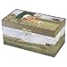 Big Sky Musical Treasure Box