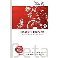 Rhagoletis Bagheera