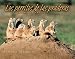Los Perritos de las Praderas / Prairie Dogs