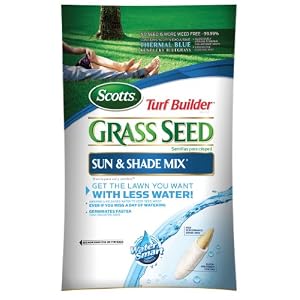buy lawn grass seed