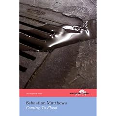 Coming to Flood (Chapbook Series)