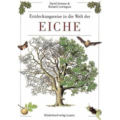 Entdeckungsreise in die Welt der Eiche