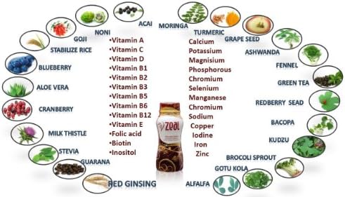 1+15 Zeal Wellness - Zeal For Life - 1 Canister w. 30 Servings and 15 Single Serving Bottles - All include natural awsome Guarana - Tasty Tropic Dream