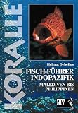 Koralle - Fisch-Führer Indfopazifik: Malediven bis Philippinen