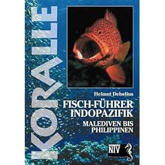 Koralle - Fisch-F�hrer Indfopazifik: Malediven bis Philippinen