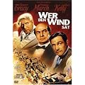 Wer den Wind s�t