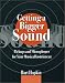Getting a Bigger Sound: Pickups and Microphones for Your Musical Instrument