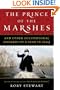 The Prince of the Marshes: And Other Occupational Hazards of a Year in Iraq