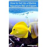HowtoSetUpAMarineAquariumLikeanExpert.TheNewBestSeller(AquariumandTurtleMastery)