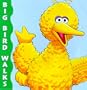 Big Bird Walks (A Chunky Book(R))