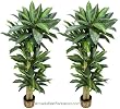 TWO Prepotted 4' Artificial Dracaena Trees with Thick Trunks