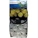 INTECH Foam Practice Balls Holes & Foam