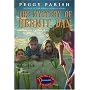 The Mystery of Hermit Dan (Liza, Bill & Jed Mysteries)
