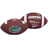Florida Wilson College Composite Football ( Florida )