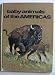 Books : Baby animals of the Americas