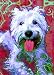 Westie Art Print on Canvas