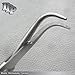 Stainless Steel Right Angle Angled Hemostat Forcep 5.5