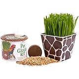 Priscilla's Pet Kitty Cat Grass Giraffe Combo Kit Planter Container