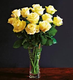 Autograph Avalanche Roses - Dozen
