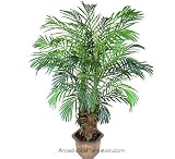 ONE Pre-potted 5' Artificial Phoneix Robellini Palm Tree