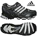 Sports : ADIDAS Herren Laufschuhe Trediac GTX 2 (022352)