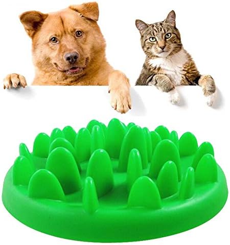 Petstory Pet Interactive Slow Feed Food Bowls, Fun Feeder (Green)