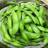 たっぷり 業務用 枝豆 （500g）