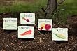 5 Assorted Locally Grown Vegetable Slate Garden Stakes 5 Assorted Locally Grown Vegetable Slate Garden Stakes