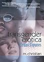 Transgender Erotica: Trans Figures (Southern Tier Editions)