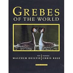 Grebes of the World