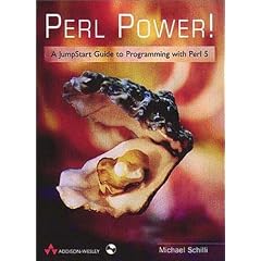 Perl Power!: A Jump Start Guide to Programming with Perl 5.0