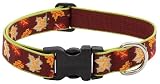 Lupine Adjustable Collars Large 1 in. x 12 in. - 20 in. - Oak and Maple