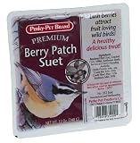 Birdscapes 352 Beacon Feeder, 4 lb capacity