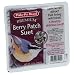 Outdoor Living : Birdscapes 352 Beacon Feeder, 4 lb capacity