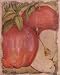 Art Poster Print - Apples - Artist: Stela Klein - Poster Size: 8 X 10 inches