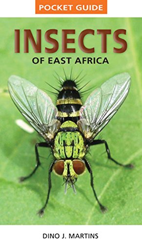 Pocket-Guide-Insects-of-East-Africa