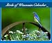 Birds Of Wisconsin 2006 Calendar by Sharon Stiteler ISBN 1591931177