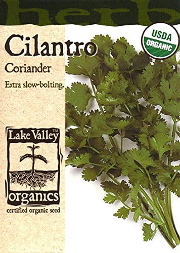 Organic Cilantro/Coriander Seeds - 1 gram