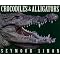 Alligator