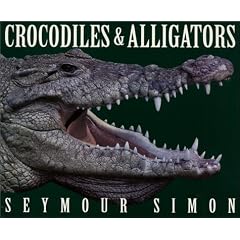 Crocodiles & Alligators