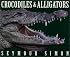 Crocodiles & Alligators