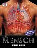 Wissen visuell. Der Mensch - Sue Davidson