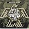 Top 13 Anarcho Peace Punk Records Available on Amazon