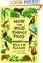 How the Wild Things Pray