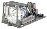 Electronics : InFocus - Projector lamp
